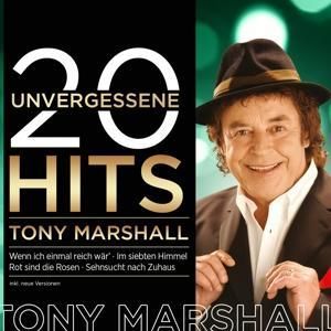 Produktbild: 20 unvergessene Hits