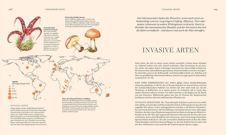 Produktbild: Pilze