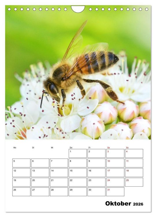 Produktbild: Hummeln und Bienen Terminplaner (Wandkalender 2026 DIN A4 hoch), CALVENDO Monatskalender