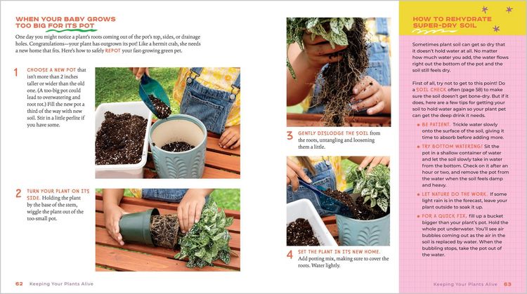 Produktbild: Plant Pets