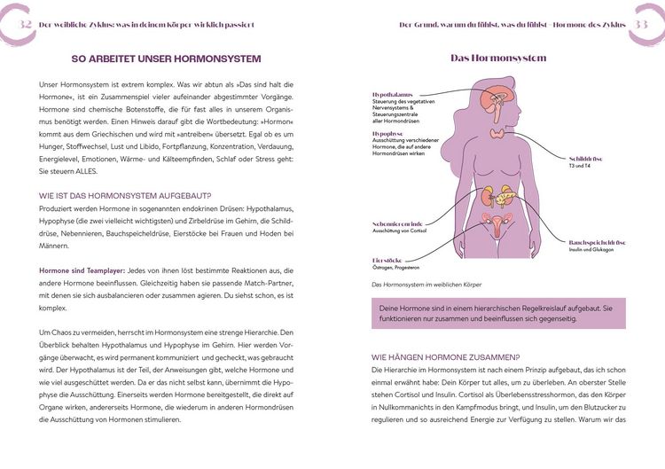Produktbild: Zyklus in Balance