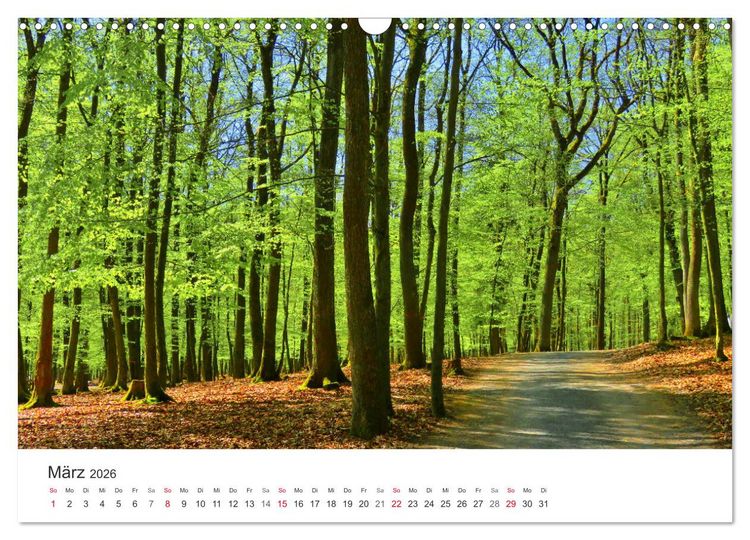 Produktbild: Wege durchs Jahr- Zitate begleiten auf romantisch sch&ouml;nen Wegen (Wandkalender 2026 DIN A3 quer), CALVENDO Monatskalender