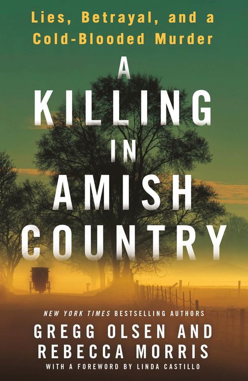 Produktbild: A Killing in Amish Country
