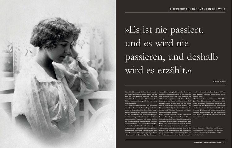 Produktbild: D&auml;nemark. Das Buch