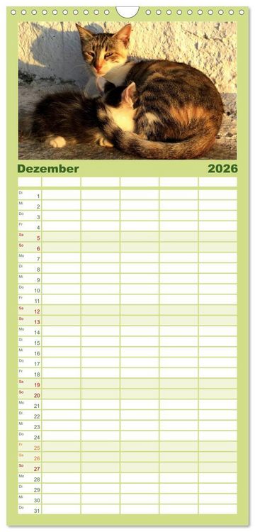 Produktbild: Familienplaner 2026 - SAMTPFOTEN "fellnah" mit 5 Spalten (Wandkalender, 21 x 45 cm) CALVENDO