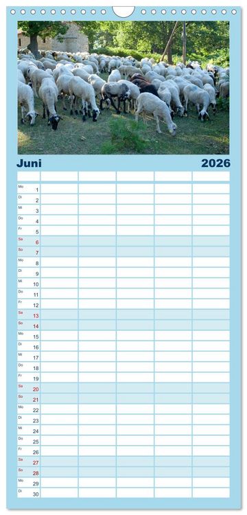 Produktbild: Familienplaner 2026 - Chalkidiki - Urlaubsparadies in Nordgriechenland mit 5 Spalten (Wandkalender, 21 x 45 cm) CALVENDO