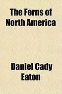 Produktbild: The Ferns of North America