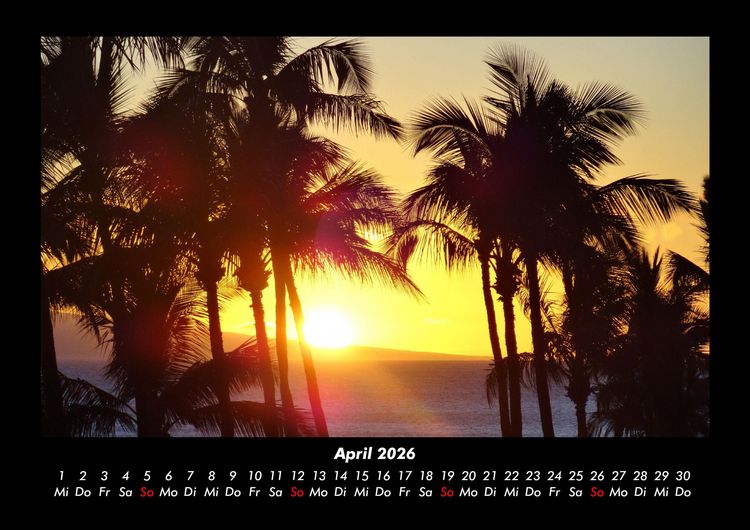Produktbild: Palmentraum 2026 Fotokalender DIN A3