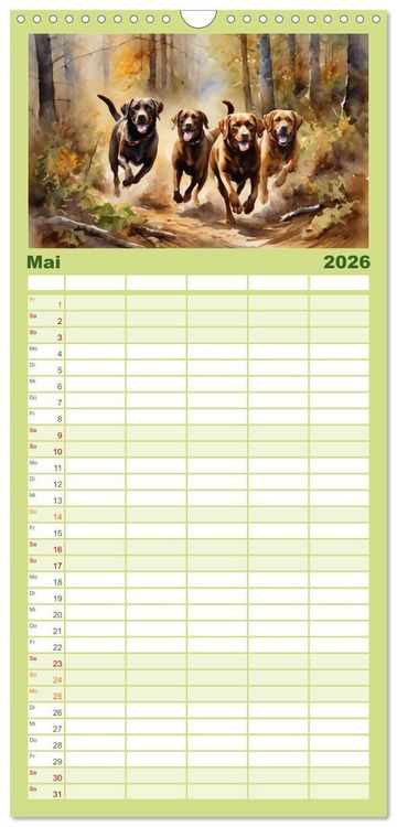 Produktbild: Familienplaner 2026 - Voller Kraft und Energie - Labrador-Retriever mit 5 Spalten (Wandkalender, 21 x 45 cm) CALVENDO