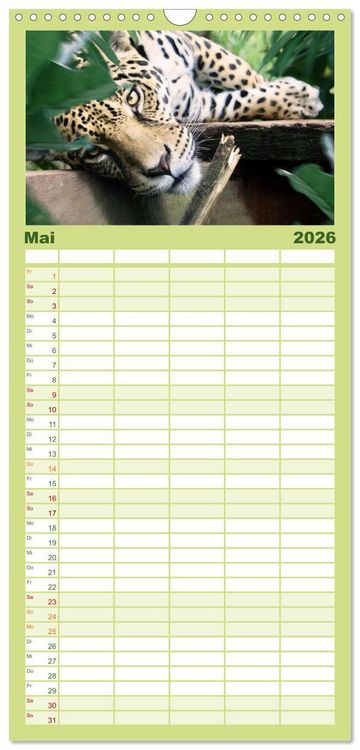 Produktbild: Familienplaner 2026 - Hallo Dschungel - Artwork mit 5 Spalten (Wandkalender, 21 x 45 cm) CALVENDO