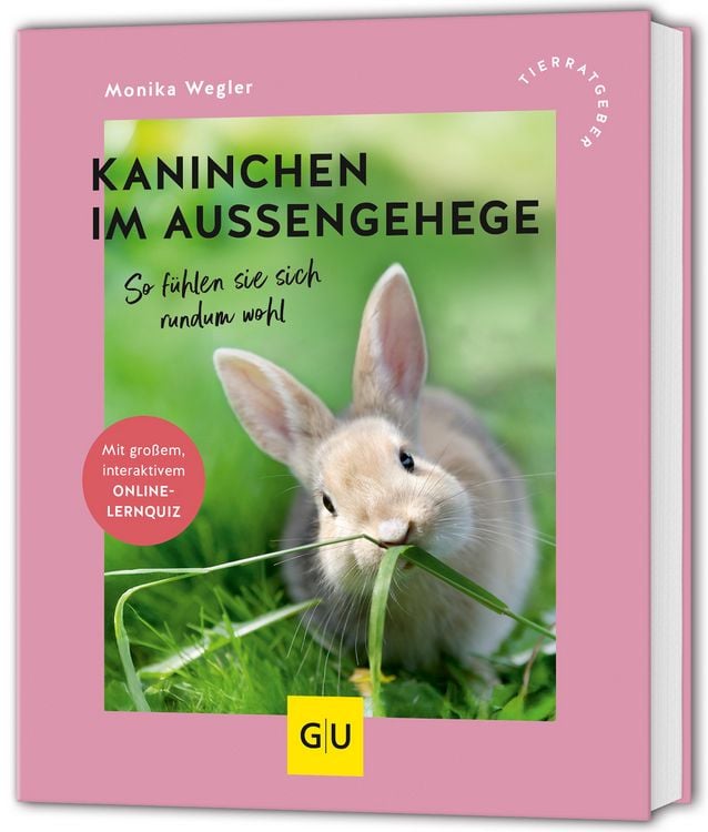 Produktbild: Kaninchen im Außengehege