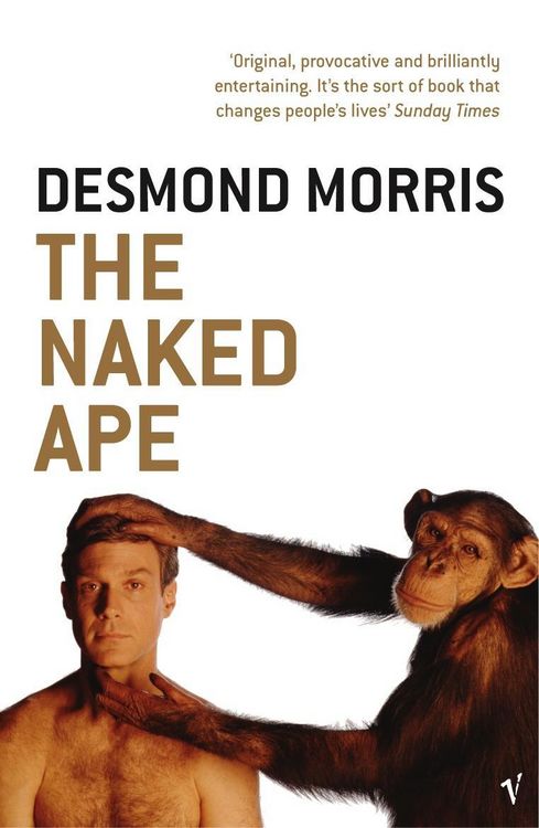 Produktbild: The Naked Ape
