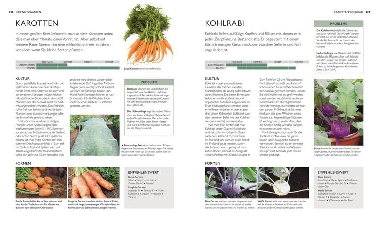 Produktbild: Die neue Gartenschule