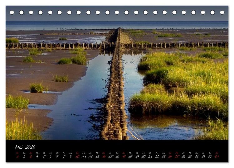 Produktbild: Friedrichskoog Buhnen und Salzwiesen (Tischkalender 2026 DIN A5 quer), CALVENDO Monatskalender