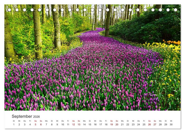 Produktbild: Die magische Welt der Blumen (Tischkalender 2026 DIN A5 quer), CALVENDO Monatskalender