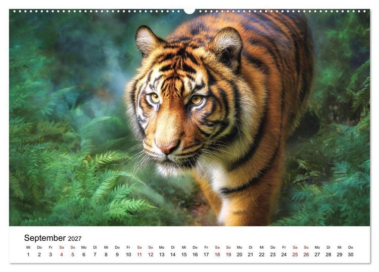 Produktbild: Wild.Edel.Stark. - Im Bann der Tiger (Wandkalender 2027 DIN A2 quer), CALVENDO Monatskalender