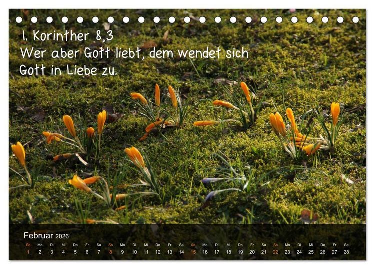 Produktbild: Sch&ouml;pfung im Licht (Tischkalender 2026 DIN A5 quer), CALVENDO Monatskalender