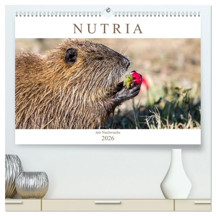 Produktbild: NUTRIA mit Nachwuchs (hochwertiger Premium Wandkalender 2026 DIN A2 quer), Kunstdruck in Hochglanz