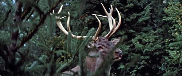 Produktbild: Der Hirsch mit dem goldenen Geweih (Filmjuwelen / DEFA-M&auml;rchen)