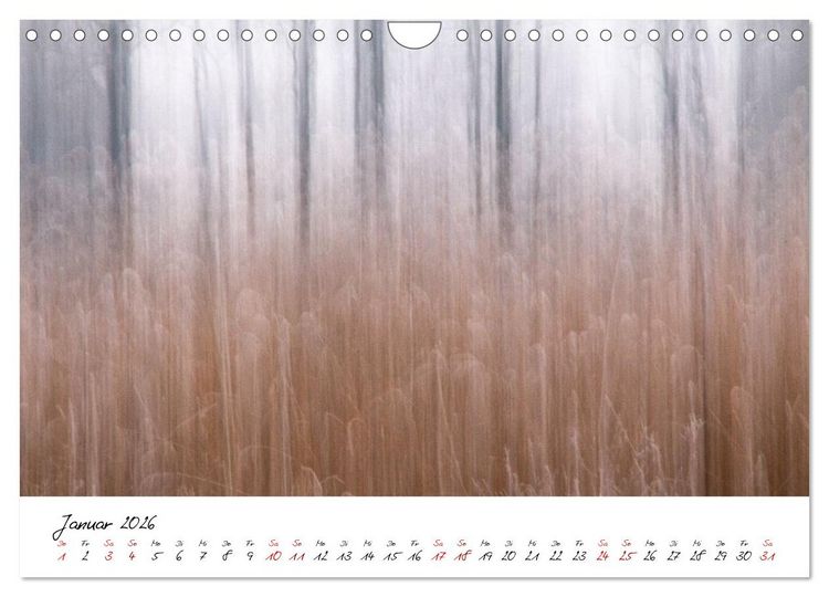 Produktbild: Abstrakte Landschaft ICM (Intentional Camera Movement) Fotografie (Wandkalender 2026 DIN A4 quer), CALVENDO Monatskalender