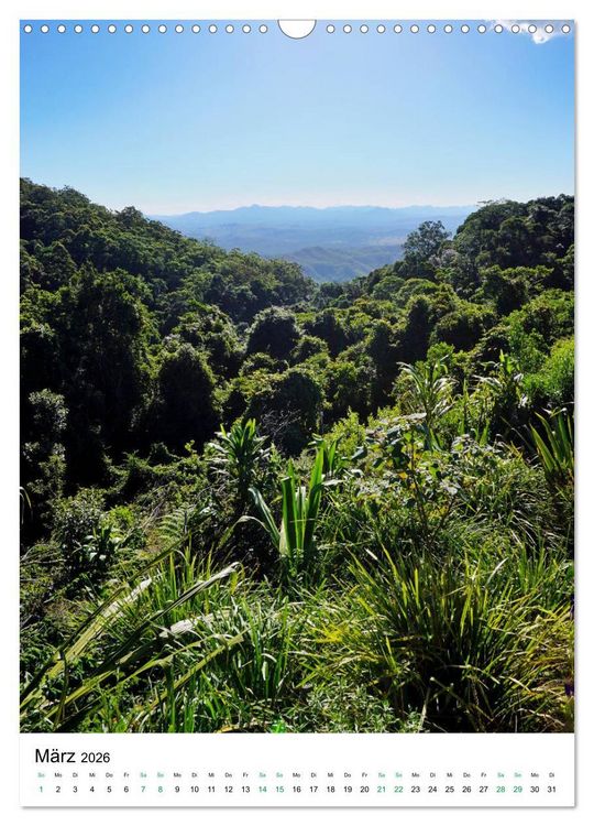 Produktbild: Regenwald - Australien (Wandkalender 2026 DIN A3 hoch), CALVENDO Monatskalender
