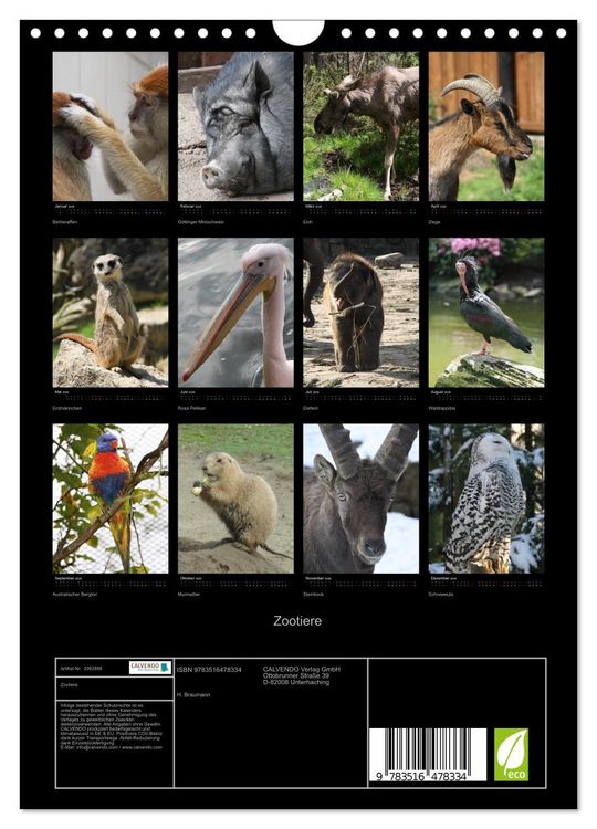 Produktbild: Zootiere (Wandkalender 2026 DIN A4 hoch), CALVENDO Monatskalender