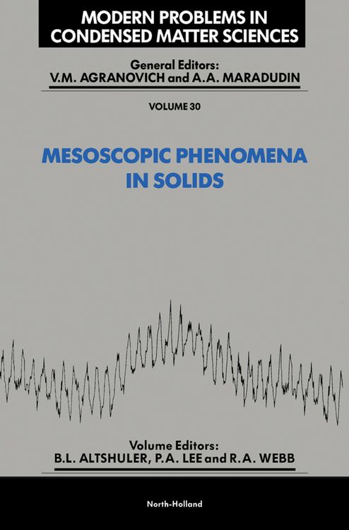 Produktbild: Mesoscopic Phenomena in Solids