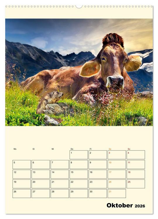 Produktbild: Gl&uuml;ckliche Bergk&uuml;he (hochwertiger Premium Wandkalender 2026 DIN A2 hoch), Kunstdruck in Hochglanz