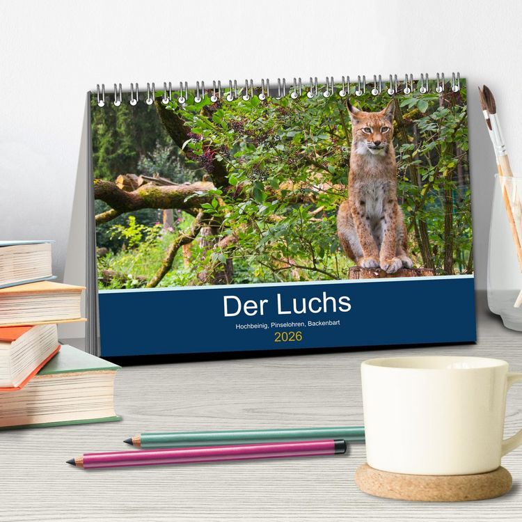 Produktbild: Der Luchs - Hochbeinig, Pinselohren, Backenbart (Tischkalender 2026 DIN A5 quer), CALVENDO Monatskalender