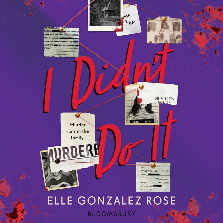 Produktbild: I Didn't Do It