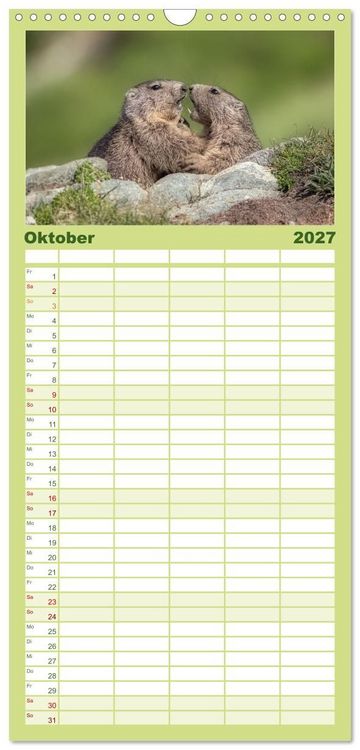 Produktbild: Familienplaner 2027 - Tiere der Alpen - Murmeltier-Kinder mit 5 Spalten (Wandkalender, 21 x 45 cm) CALVENDO
