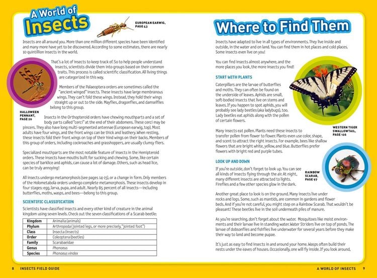 Produktbild: Ultimate Explorer Field Guide: Insects