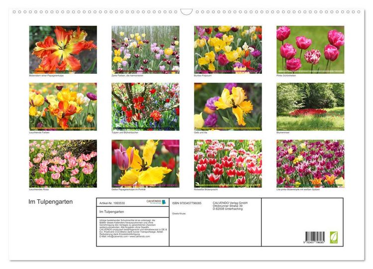 Produktbild: Im Tulpengarten (Wandkalender 2026 DIN A2 quer), CALVENDO Monatskalender