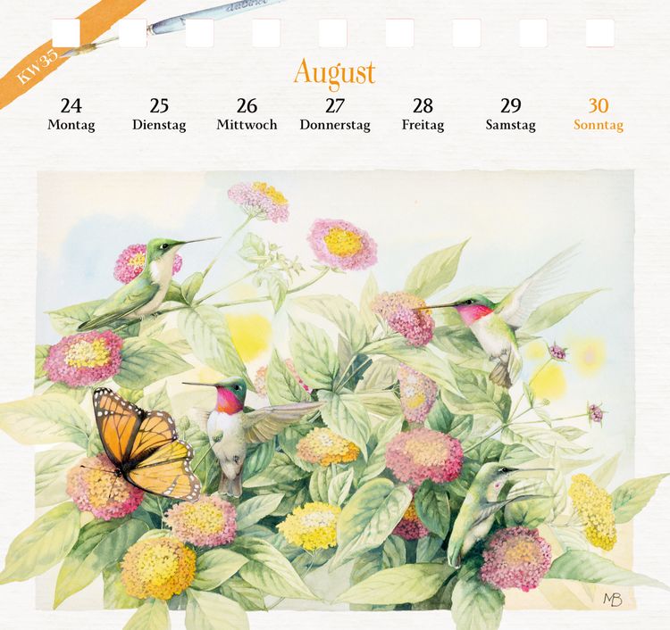 Produktbild: Kalender mit 53 Postkarten