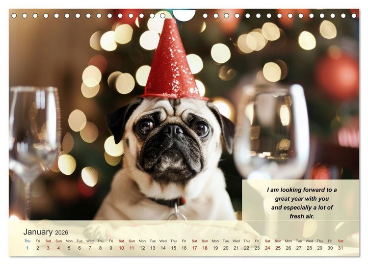 Produktbild: Great fun for pug lovers (Wall Calendar 2026 DIN A4 landscape), CALVENDO 12 Month Wall Calendar