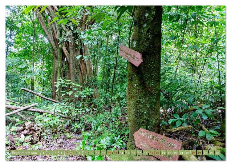 Produktbild: Sao Tome. Paradiesinsel vor der K&uuml;ste Westafrikas (Wandkalender 2026 DIN A3 quer), CALVENDO Monatskalender