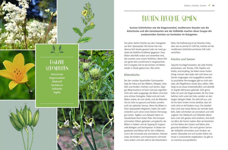 Produktbild: Gem&uuml;se forever!