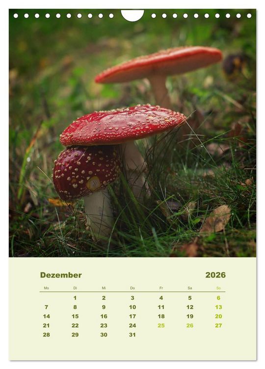 Produktbild: Wundersame Welt der Pilze (Wandkalender 2026 DIN A4 hoch), CALVENDO Monatskalender