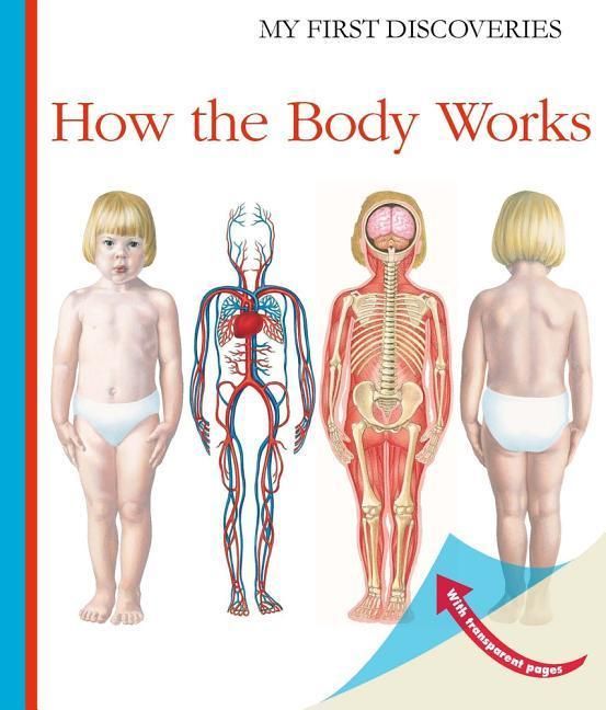 Produktbild: Peyrols, S: How the Body Works