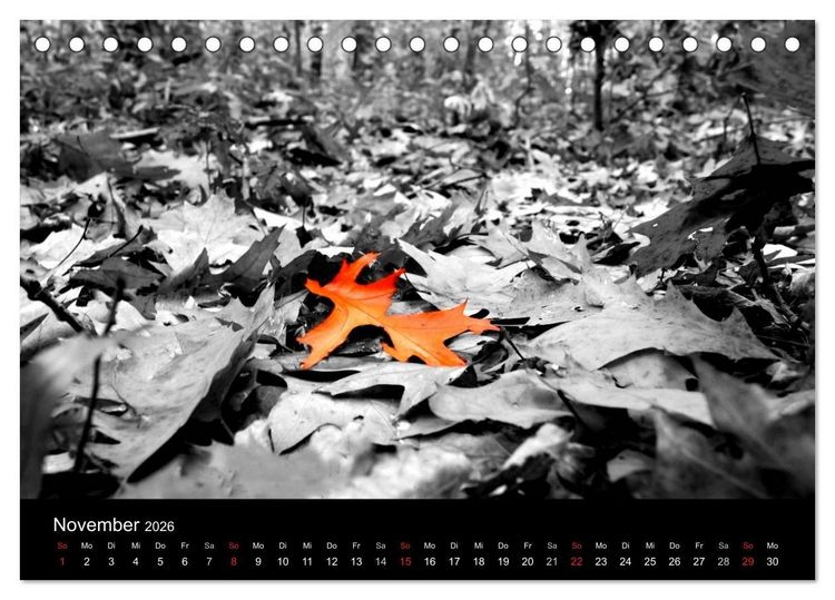 Produktbild: schwarz/wei&szlig; trifft farbe (Tischkalender 2026 DIN A5 quer), CALVENDO Monatskalender