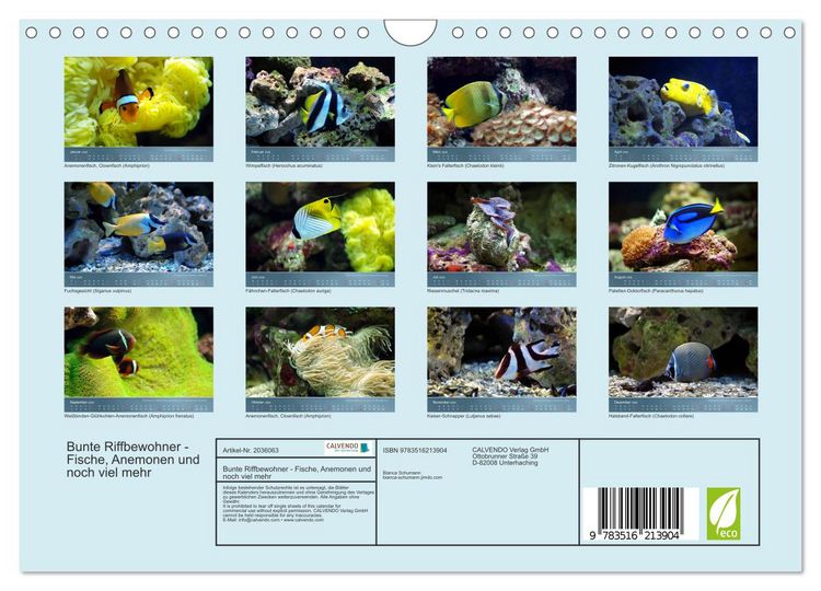 Produktbild: Bunte Riffbewohner - Fische, Anemonen und noch viel mehr (Wandkalender 2026 DIN A4 quer), CALVENDO Monatskalender