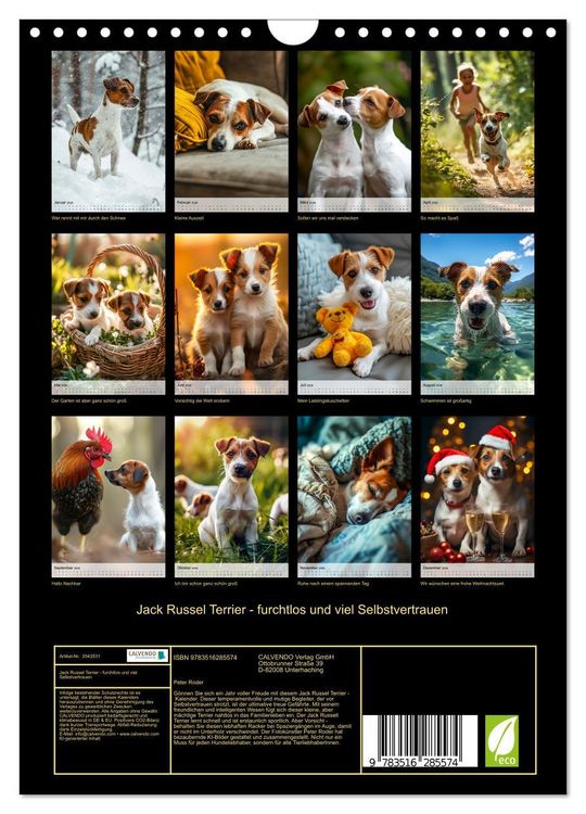 Produktbild: Jack Russel Terrier - furchtlos und viel Selbstvertrauen (Wandkalender 2026 DIN A4 hoch), CALVENDO Monatskalender