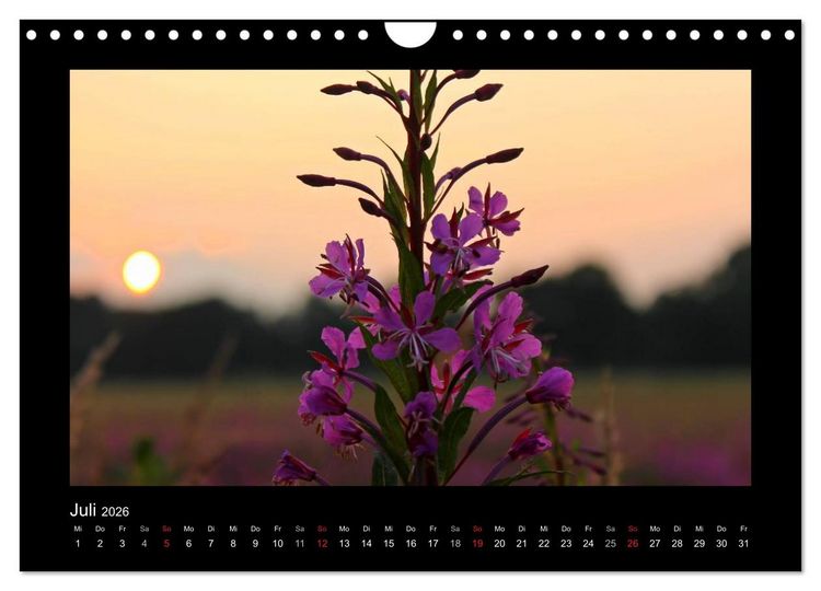 Produktbild: Landschaft Teufelsmoor / 2026 (Wandkalender 2026 DIN A4 quer), CALVENDO Monatskalender