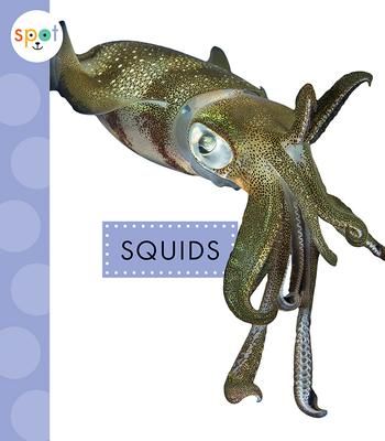 Produktbild: Squids