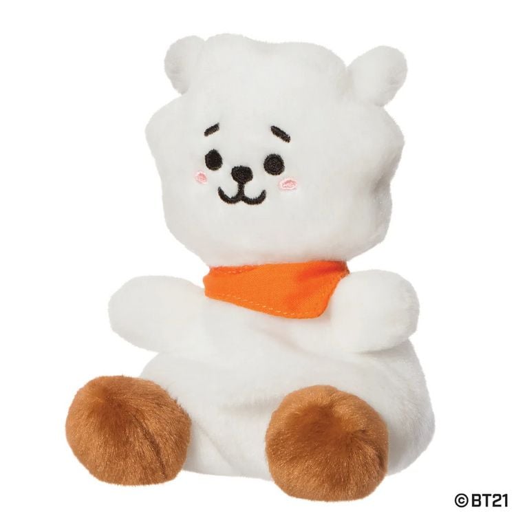 Produktbild: BT21 - RJ Palm Pal