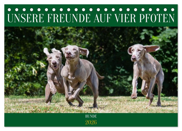 Produktbild: Unsere Freunde auf vier Pfoten - Hunde (Tischkalender 2026 DIN A5 quer), CALVENDO Monatskalender