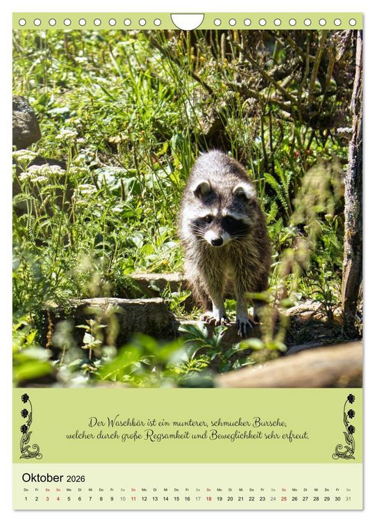 Produktbild: Buntes Tierleben (Wandkalender 2026 DIN A4 hoch), CALVENDO Monatskalender