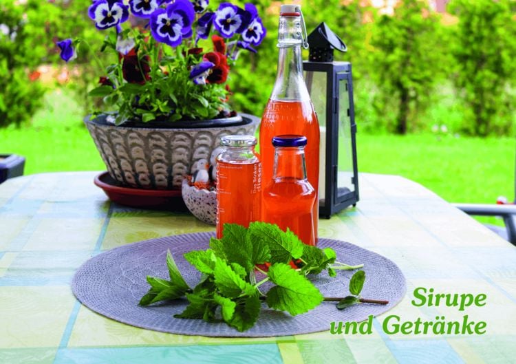 Produktbild: Einfach einkochen & fermentieren