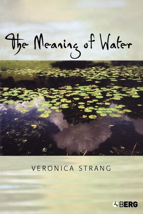 Produktbild: The Meaning of Water