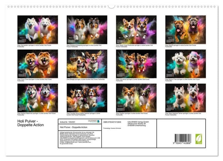 Produktbild: Holi Pulver - Doppelte Action (hochwertiger Premium Wandkalender 2026 DIN A2 quer), Kunstdruck in Hochglanz